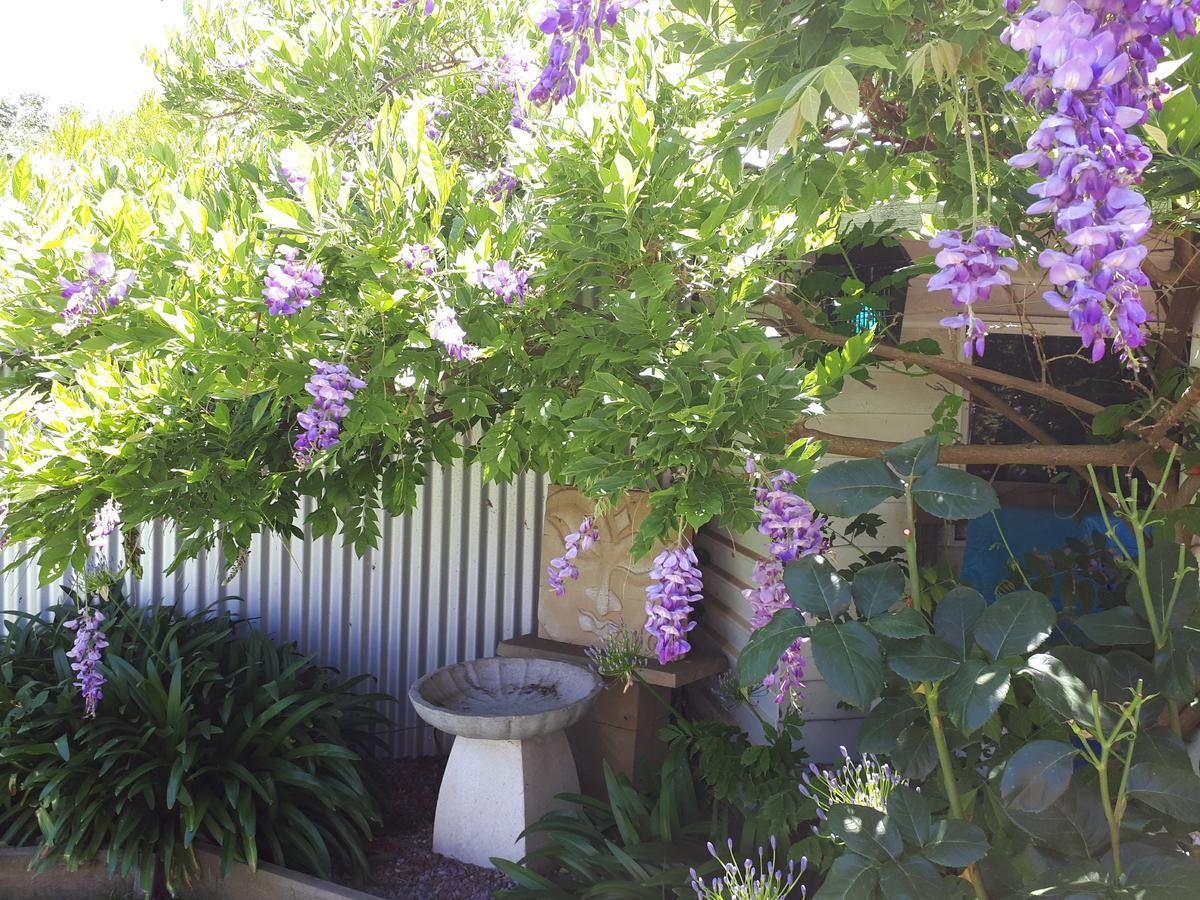 The Bohemian Art Studio Creswick Exterior foto